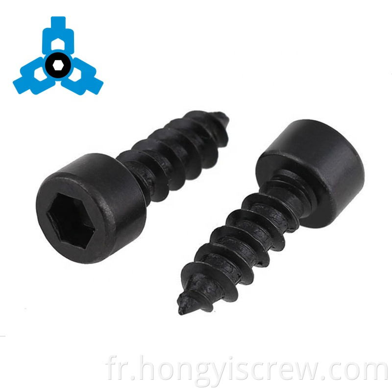 Hexagon Socket Cap Tête de carbone noir en acier auto-tapis